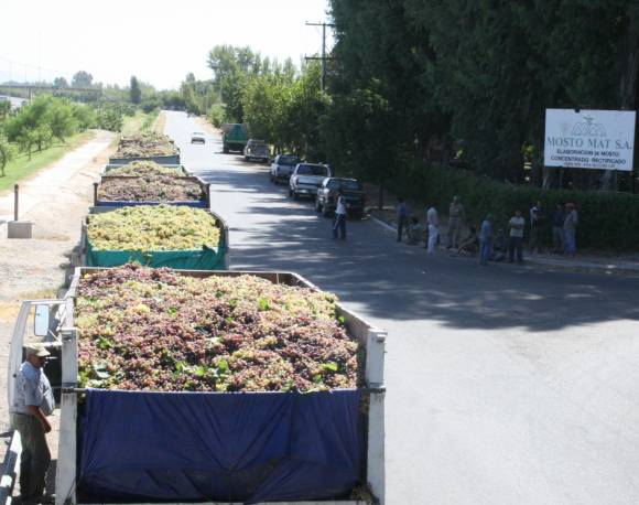 Mosto: el peor semestre de los últimos 3 años Mosto: el peor semestre de los últimos 3 años