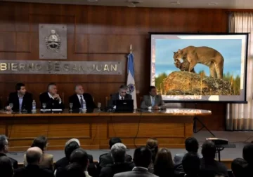 San Guillermo: dos cámaras in situ y web San Guillermo: dos cámaras in situ y web