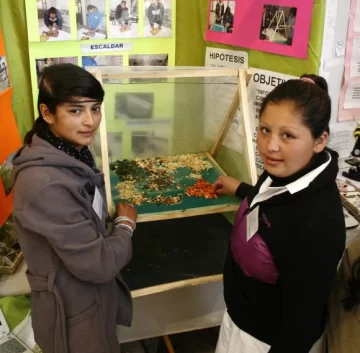 Desde perfumes frutales hasta manos mecánicas Desde perfumes frutales hasta manos mecánicas