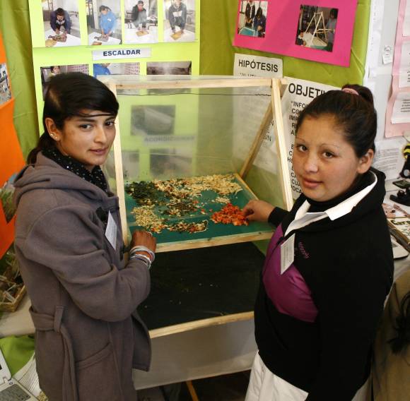 Desde perfumes frutales hasta manos mecánicas Desde perfumes frutales hasta manos mecánicas