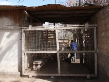 Angaco: con armas y encapuchados, roban de todo en un almacén Angaco: con armas y encapuchados, roban de todo en un almacén