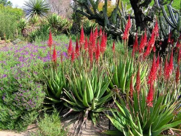 ¿Qué es un jardín sustentable? ¿Qué es un jardín sustentable?