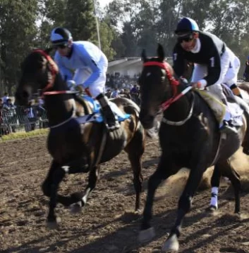 Calentando el ambiente Calentando el ambiente