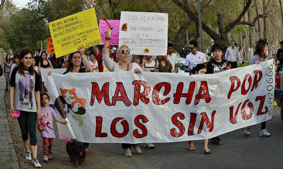 Por los derechos animales Por los derechos animales