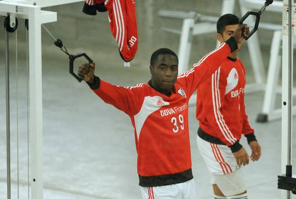 Balanta complica Balanta complica