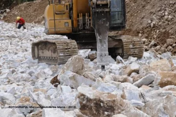 Desarrollan prótesis a base de fosfato de calcio Desarrollan prótesis a base de fosfato de calcio