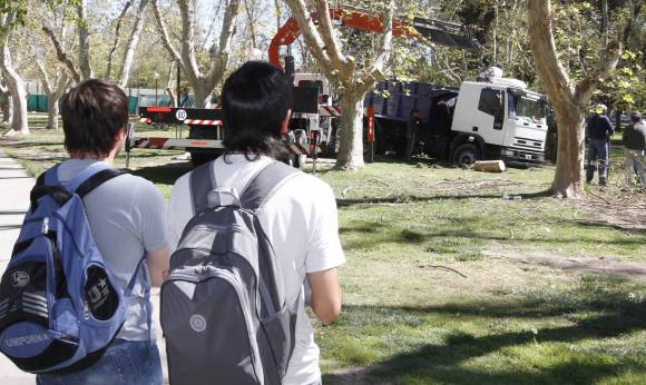 Más de 20 horas para sacar el camión que se hundió en el pasto Más de 20 horas para sacar el camión que se hundió en el pasto