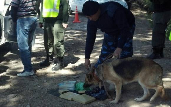 Lo atrapan con 6 kg de marihuana en un control vehicular Lo atrapan con 6 kg de marihuana en un control vehicular