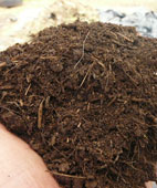 La clave para el suelo La clave para el suelo