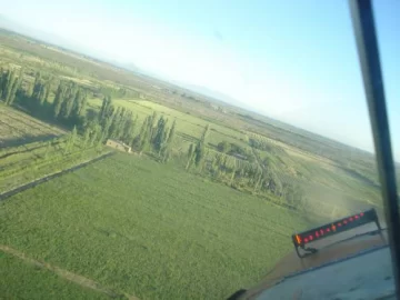 Agricultura de precisión: en San Juan crece su desarrollo Agricultura de precisión: en San Juan crece su desarrollo