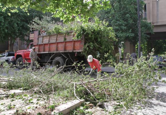Dicen que hoy las calles de Capital estarán sin ramas Dicen que hoy las calles de Capital estarán sin ramas