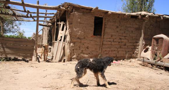 Dormían en el piso y entre los perros Dormían en el piso y entre los perros