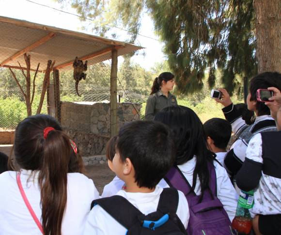 Faunístico: entrar costará $10 y $20 Faunístico: entrar costará $10 y $20