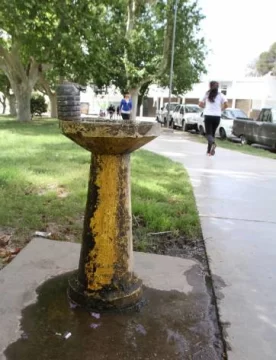 En el Parque de Mayo todos los bebederos están rotos En el Parque de Mayo todos los bebederos están rotos