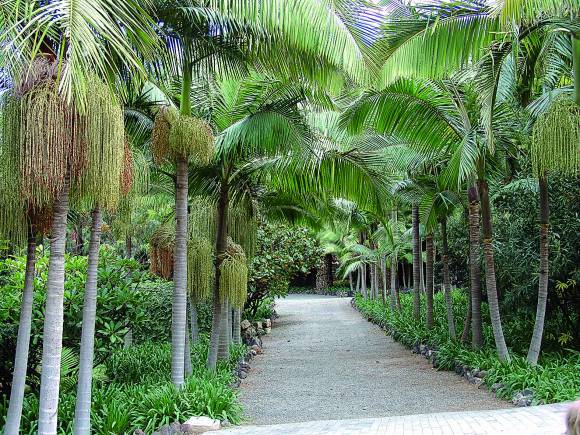 Entre plamas Entre plamas