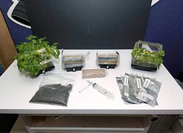 La NASA cultivará nabos en la Luna La NASA cultivará nabos en la Luna