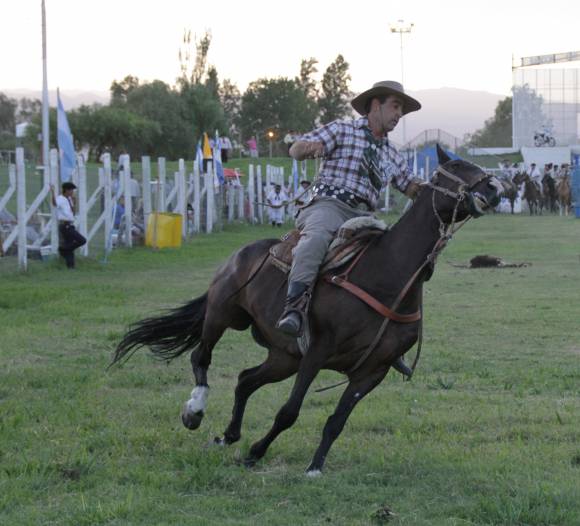 Festejo del Día del Gaucho de gran alcance nacional Festejo del Día del Gaucho de gran alcance nacional