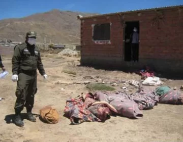 Doce muertos por monóxido Doce muertos por monóxido