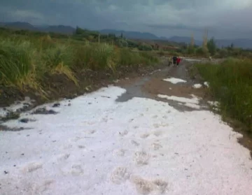 Granizada letal en Angualasto y un vendaval en cultivos Granizada letal en Angualasto y un vendaval en cultivos