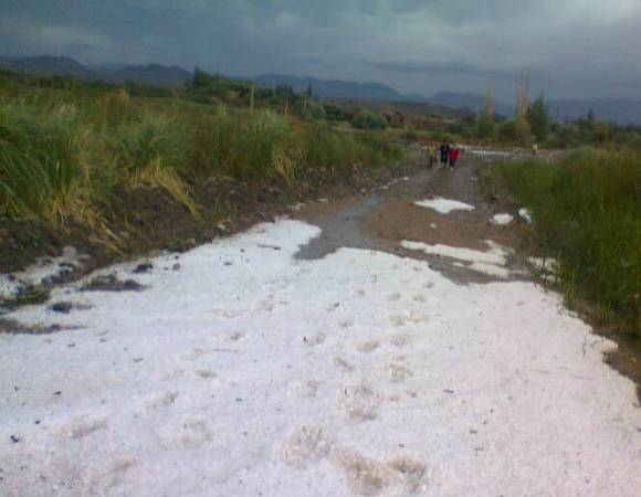 Granizada letal en Angualasto y un vendaval en cultivos Granizada letal en Angualasto y un vendaval en cultivos