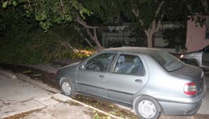 El intenso viento dejo a parte de San Juan sin luz y varios destrozos por árboles caidos El intenso viento dejo a parte de San Juan sin luz y varios destrozos por árboles caidos