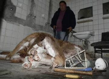 El mayor daño ambiental se da después de la cosecha El mayor daño ambiental se da después de la cosecha