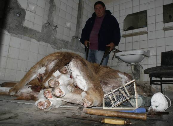 El mayor daño ambiental se da después de la cosecha El mayor daño ambiental se da después de la cosecha