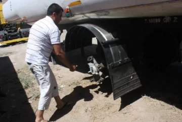 Envenenan a perros y roban dos cubiertas Envenenan a perros y roban dos cubiertas