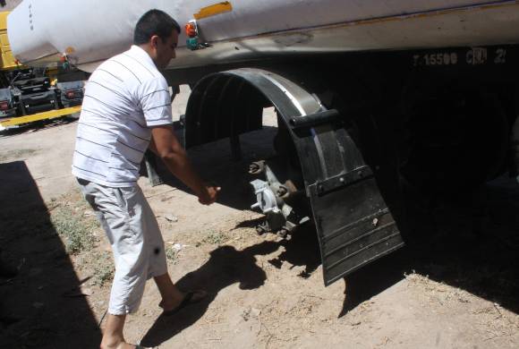 Envenenan a perros y roban dos cubiertas Envenenan a perros y roban dos cubiertas