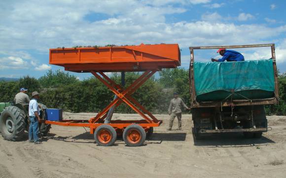 Una herramienta que humaniza la cosecha Una herramienta que humaniza la cosecha