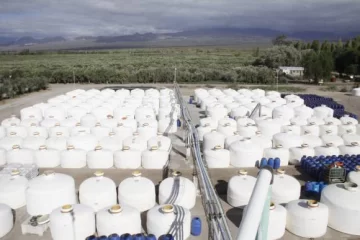 50% menos en conserva, 80% menos para las aceiteras 50% menos en conserva, 80% menos para las aceiteras