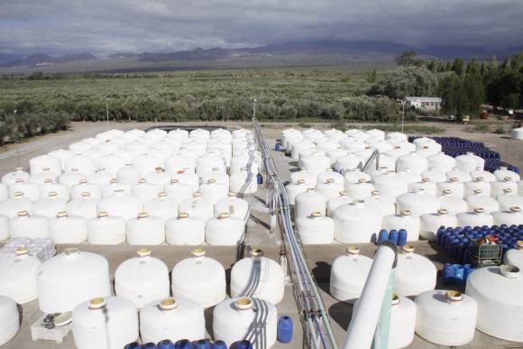 50% menos en conserva, 80% menos para las aceiteras 50% menos en conserva, 80% menos para las aceiteras