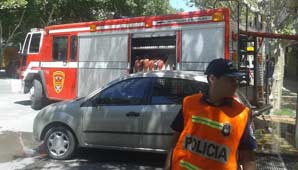 Cerca de 100 canarios murieron en un incendio en pleno centro Cerca de 100 canarios murieron en un incendio en pleno centro