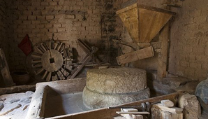 Tras exitosa cosecha de trigo, quieren comprar molino eléctrico Tras exitosa cosecha de trigo, quieren comprar molino eléctrico