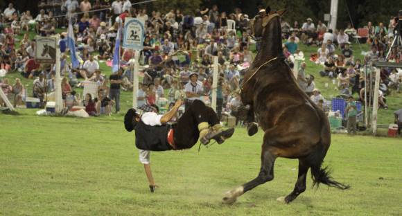 Los 60 jinetes que buscan el premio que da respeto Los 60 jinetes que buscan el premio que da respeto
