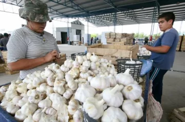 Alós minimizó la pérdida de ventajas arancelarias Alós minimizó la pérdida de ventajas arancelarias