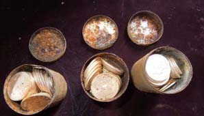 Un jardín millonario Un jardín millonario