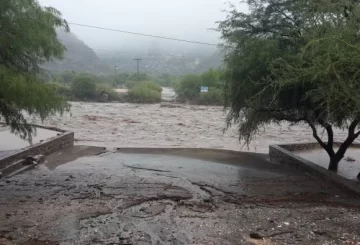 En 10 días, Ischigualasto perdió cerca de $150.000 En 10 días, Ischigualasto perdió cerca de $150.000
