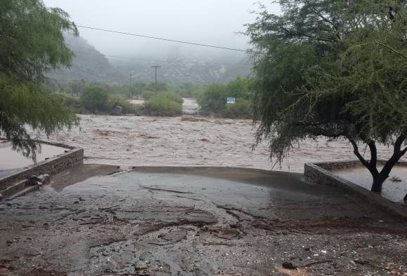 En 10 días, Ischigualasto perdió cerca de $150.000 En 10 días, Ischigualasto perdió cerca de $150.000