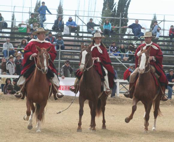 Caballos peruanos: este año, récord de foráneos Caballos peruanos: este año, récord de foráneos