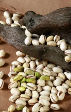 Frutos del Sol suma unas 155 hectáreas nuevas de pistacho Frutos del Sol suma unas 155 hectáreas nuevas de pistacho