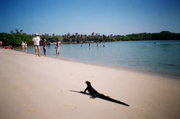 Viaje a la mitad del mundo Viaje a la mitad del mundo