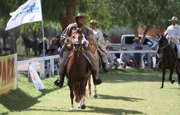 Un concurso aceitado que atrae gente de todo el país Un concurso aceitado que atrae gente de todo el país