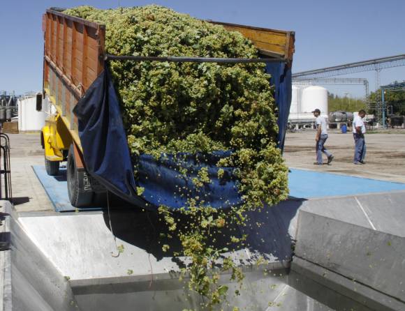 Bodegueros, expectantes por un crédito que demora Bodegueros, expectantes por un crédito que demora