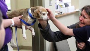 Seis años después Seis años después