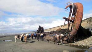 Impresionante hallazgo Impresionante hallazgo