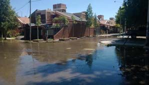 Un barrio en Rivadavia lleva una semana inundado Un barrio en Rivadavia lleva una semana inundado