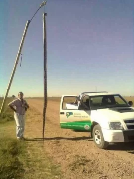 Una yarará gigante Una yarará gigante