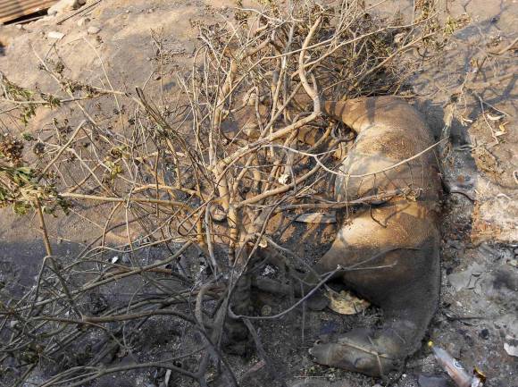 La batalla contra las llamas La batalla contra las llamas