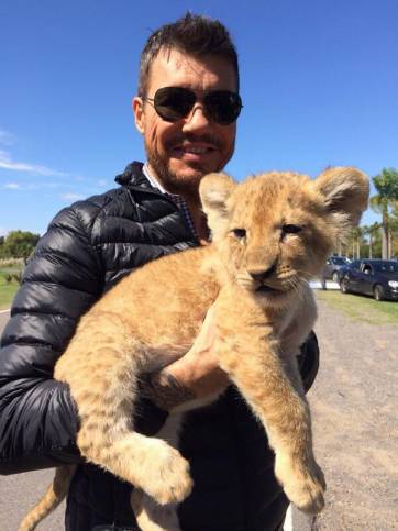 La maquinaria, a punto La maquinaria, a punto